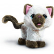 FURREAL GATTINO - KAMI