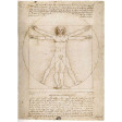 15250 Leonardo: Uomo Vitruviano