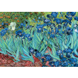 15613 Van Gogh: Gli Iris