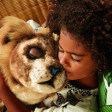 FURREAL  IL RE LEONE - HASBRO