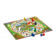 IL GIOCO DELL'OCA