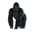 GORILLA MASCHIO