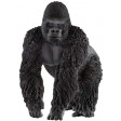 GORILLA MASCHIO