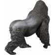 GORILLA MASCHIO