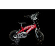 Bicicletta BMX