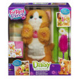 Daisy
