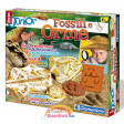 Focus Junior Fossili e Orme