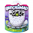 Hatchimals draggles