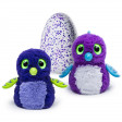 Hatchimals draggles