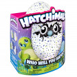 Hatchimals draggles