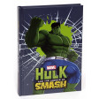 Diario 10 mesi Hulk '15
