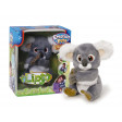Lipto il koala