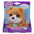 Luvimals