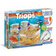 Triops Creature Preistoriche