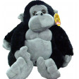 Scimmia gigante 