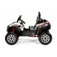 polaris ranger rzr 900 12 v