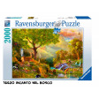 Puzzle 2000 pz 