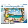 Puzzle 2000 pz 