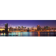 16694 New York Skyline
