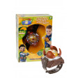 Orologio Tree Fu Tom