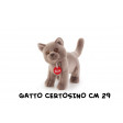 Gatto Certosino Pompeo