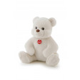 Orso Bianco Tolomeo