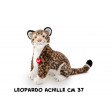 Leopardo Achille