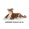 Leopardo Achille