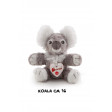 Koala Bussi
