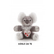 Koala Bussi