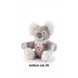 Koala Bussi