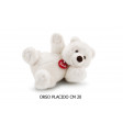 Orso Placido