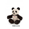 Panda Bussi