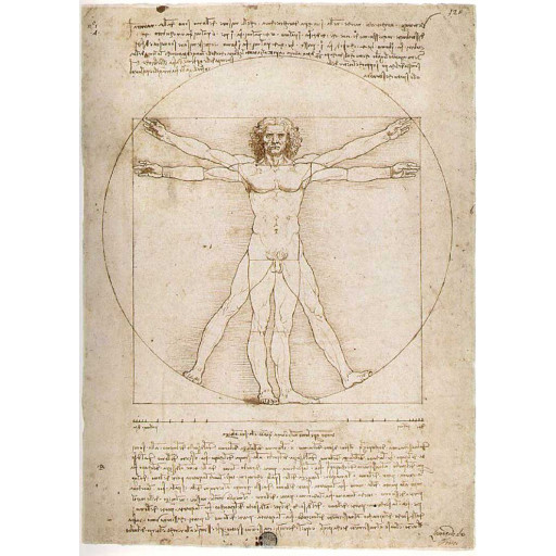 Leonardo: uomo vitruviano 300pz