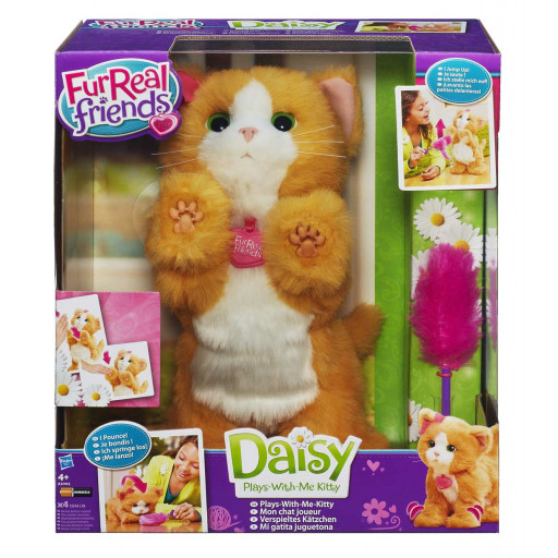 Daisy