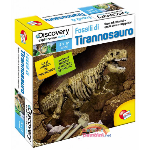 Fossili di Tirannosauro Superkit