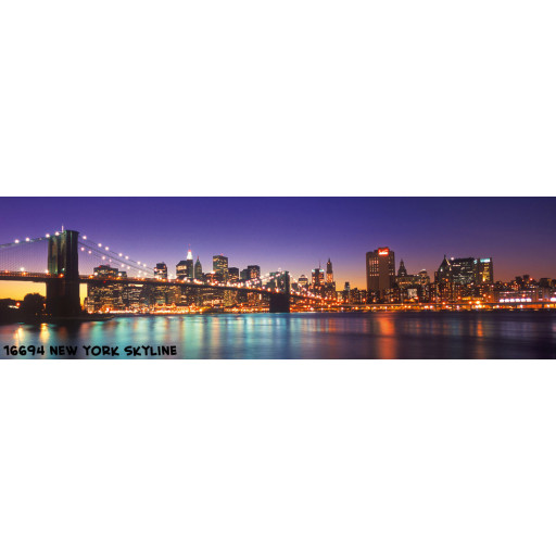 16694 New York Skyline