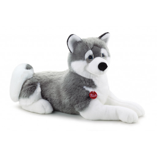 Husky Marcus cm 80