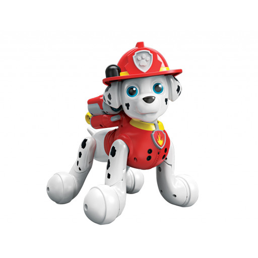 Zoomer marshall paw patrol