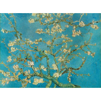 VAN GOGH:MANDORLO IN FIORE, 300 pz