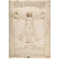 Leonardo: uomo vitruviano 300pz