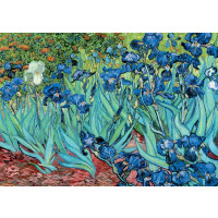 15613 Van Gogh: Gli Iris