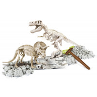 Focus t-rex & triceratopo
