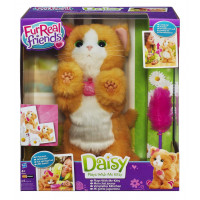 Daisy