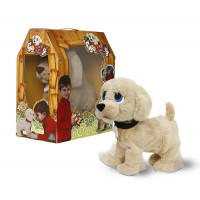 Goldy cagnolino