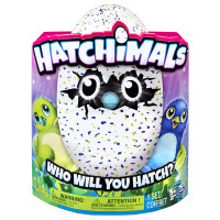 Hatchimals draggles