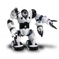 mini robosapiens