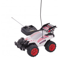 RC Nikko dune racer 