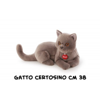 Gatto Certosino Pompeo