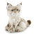 Lince 